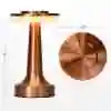 Bronze